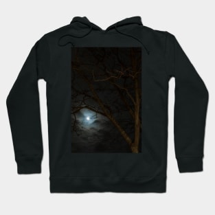 Full Moon Rising - 2 © Hoodie